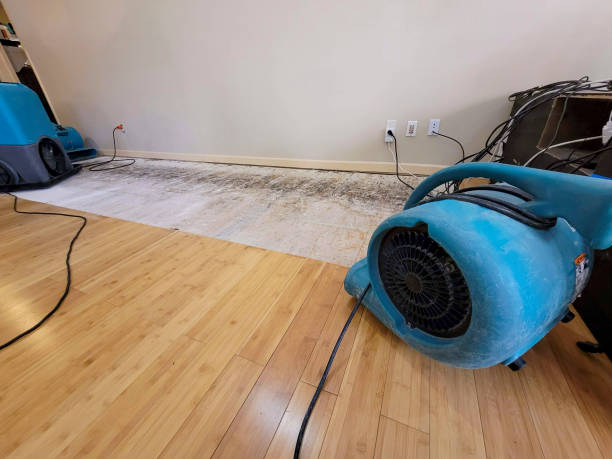 Professional Flood Damage Cleanup technician working in Grafton, ND